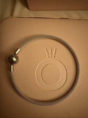 Pandora Mesh Snake Bracelet with Signature Clasp